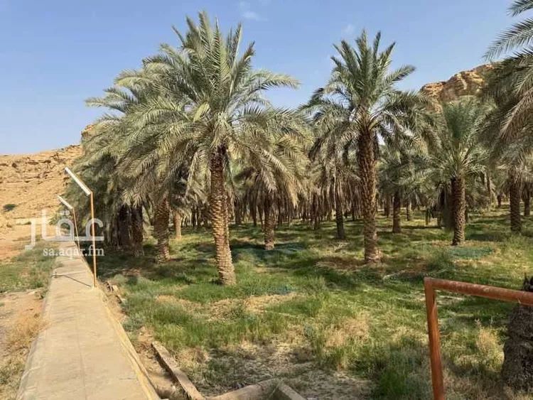 مزرعة للبيع في حي عريض, مدينة الرياض, منطقة الرياض صورة 5