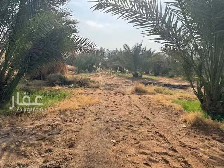 مزرعة للبيع في حي عريض, مدينة الرياض, منطقة الرياض 6