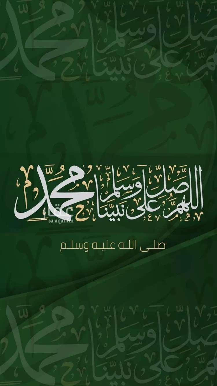 أرض للبيع في شارع سعد بن محمد, حي العاقول, مدينة المدينة المنورة, منطقة المدينة المنورة صورة 5