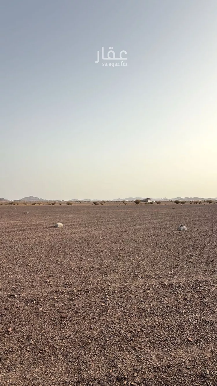 أرض للبيع في شارع طارق الشواف, حي الصويدرة, مدينة المدينه المنوره, منطقة المدينة المنورة صورة 3