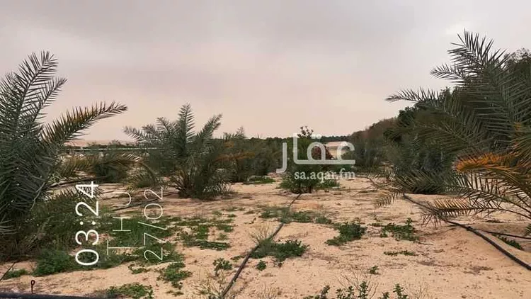 مزرعة للبيع في حي السديره, مدينة السديره, المنطقة الشرقية صورة 5