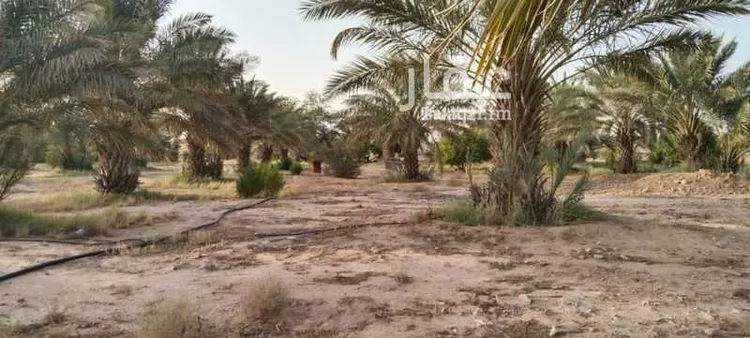 مزرعة للبيع في شارع عبدالله بن عبدالعزيز ، التويم ، المجمعة صورة 5