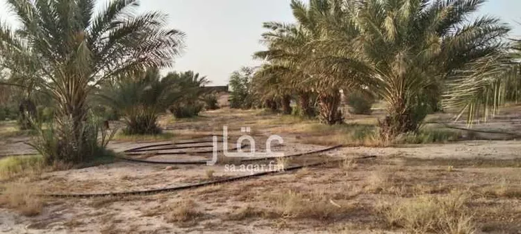 مزرعة للبيع في شارع عبدالله بن عبدالعزيز ، التويم ، المجمعة صورة 4
