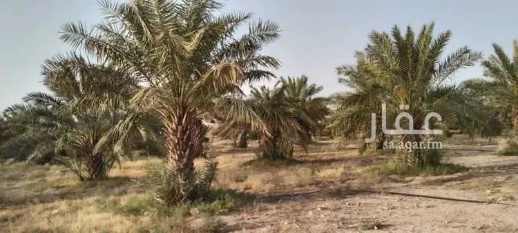 مزرعة للبيع في شارع عبدالله بن عبدالعزيز ، التويم ، المجمعة صورة 2