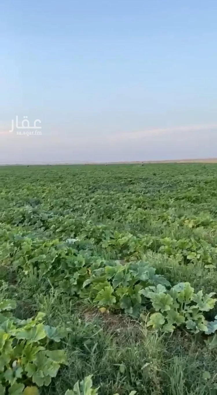 مزرعة للبيع في مدينة حائل, منطقة حائل صورة 3