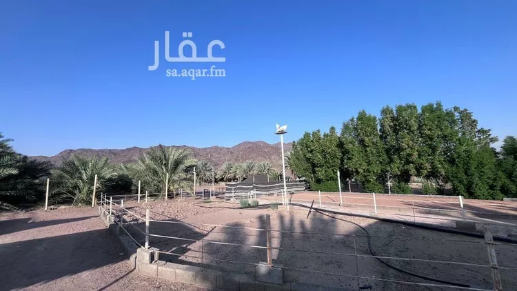 مزرعة للبيع في حي وادي الحمض, مدينة المدينة المنورة, منطقة المدينة المنورة صورة 4
