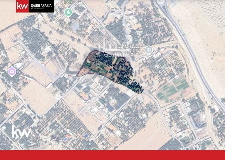 مزرعة للبيع في شارع الواحة 9, حي الواحة, مدينة الجبيلة, منطقة الرياض صورة 4