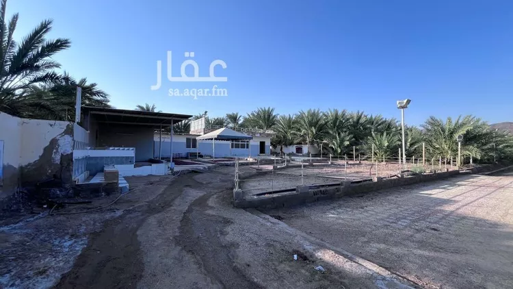 مزرعة للبيع في حي وادي الحمض, مدينة المدينة المنورة, منطقة المدينة المنورة 7