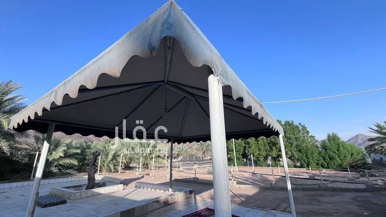 مزرعة للبيع في حي وادي الحمض, مدينة المدينة المنورة, منطقة المدينة المنورة صورة 5