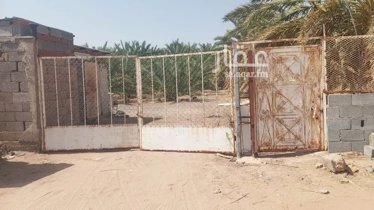 مزرعة للبيع في حي وادي الحمض, مدينة المدينة المنورة, منطقة المدينة المنورة 13