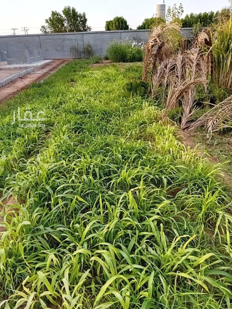 Farm for Sale in Al Kharj Al Barakah صورة 3