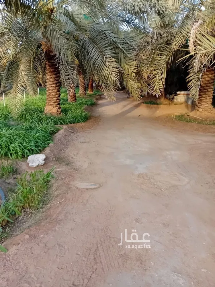 Farm for Sale in Al Kharj Al Barakah صورة 5