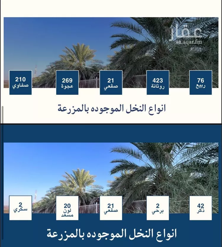 مزرعة للبيع في حي وادي الحمض, مدينة المدينة المنورة, منطقة المدينة المنورة صورة 4
