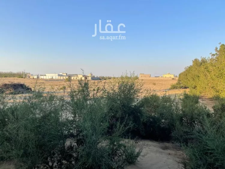 أرض للبيع في شارع ثقاف ابن عمرو العدواني, حي الصالحي, مدينة القنفذة, منطقة مكة المكرمة 6