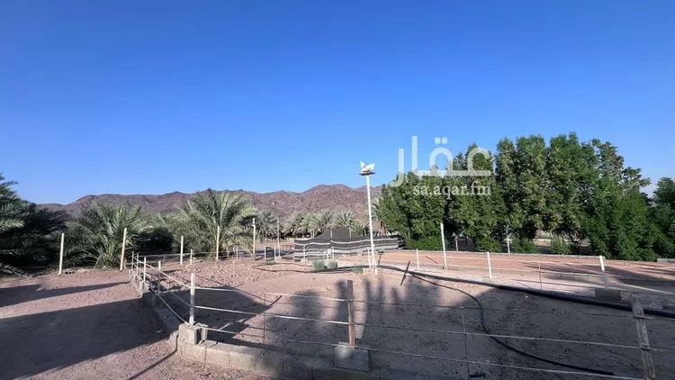 مزرعة للبيع في حي وادي الحمض, مدينة المدينة المنورة, منطقة المدينة المنورة 6