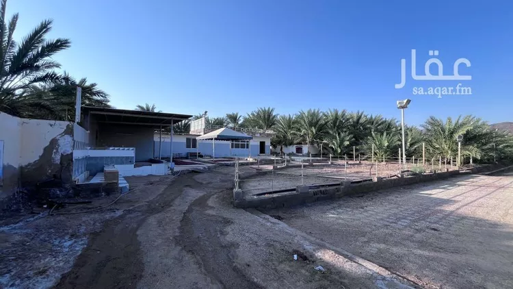 مزرعة للبيع في حي وادي الحمض, مدينة المدينة المنورة, منطقة المدينة المنورة صورة 3