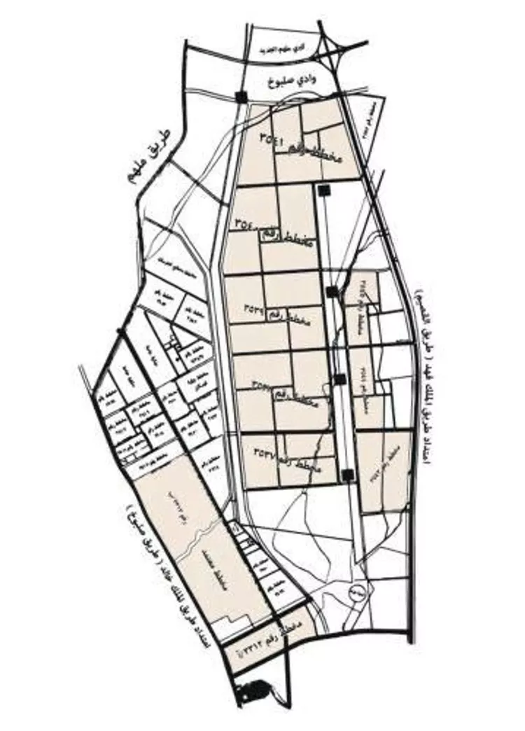 أرض للبيع في حي الخير, مدينة الرياض, منطقة الرياض صورة 4
