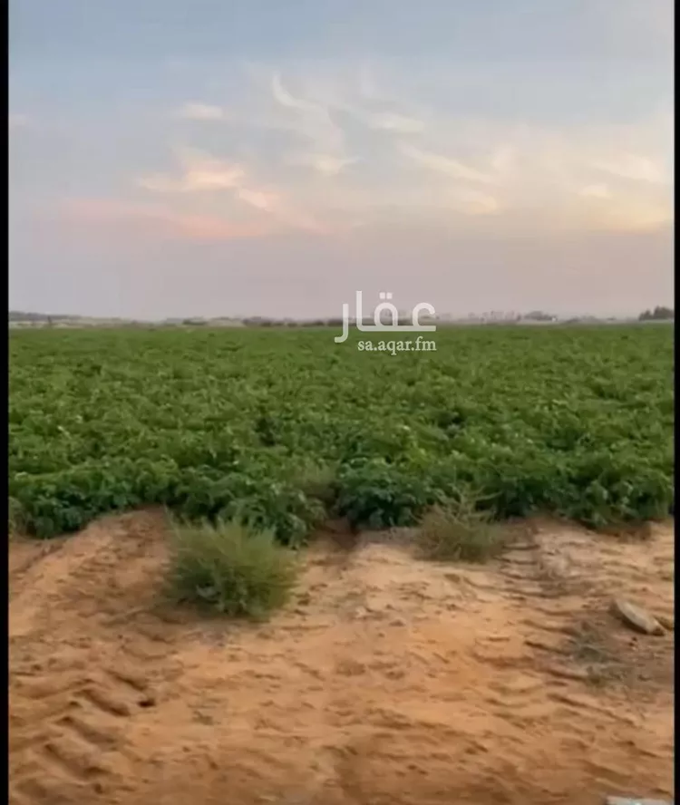 مزرعة للبيع في مدينة حائل, منطقة حائل صورة 4