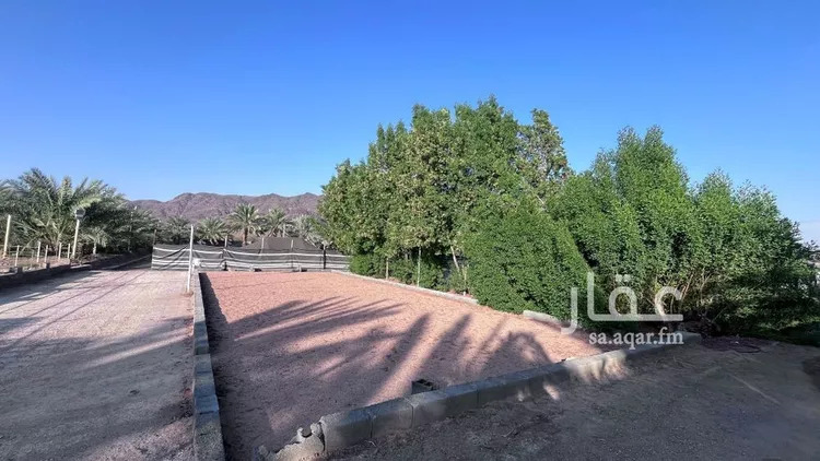 مزرعة للبيع في حي وادي الحمض, مدينة المدينة المنورة, منطقة المدينة المنورة صورة 2