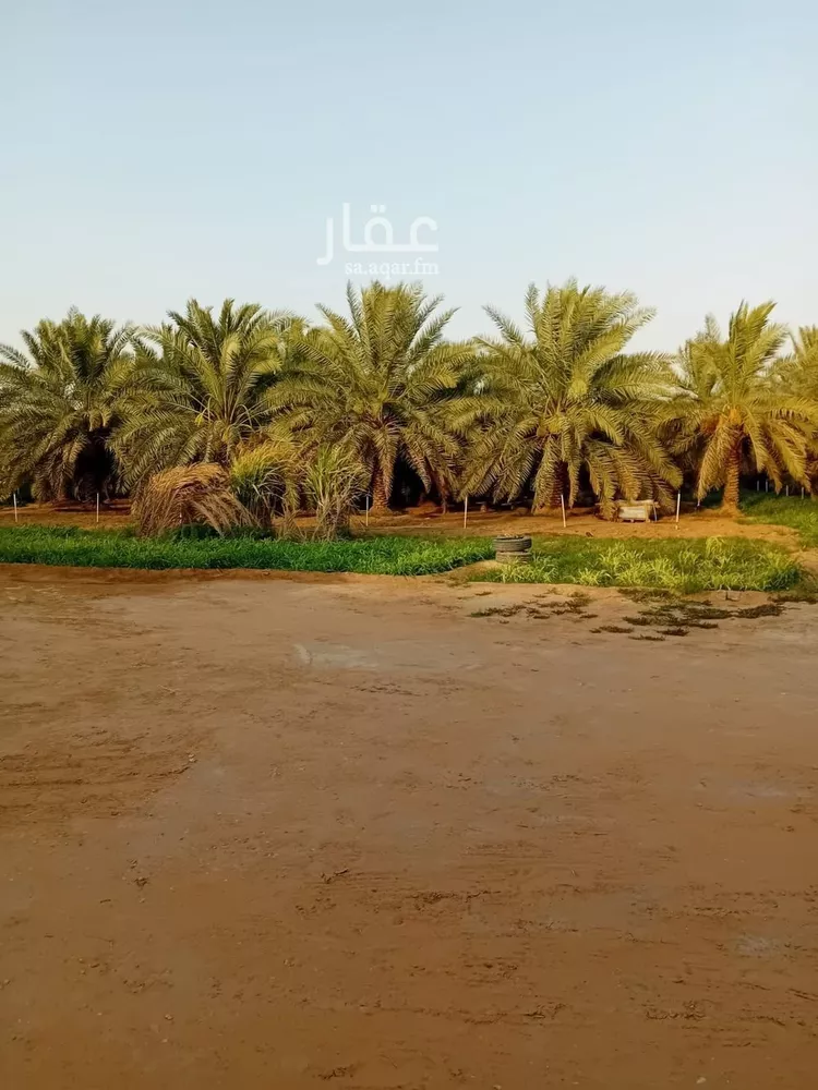 Farm for Sale in Al Kharj Al Barakah صورة 2