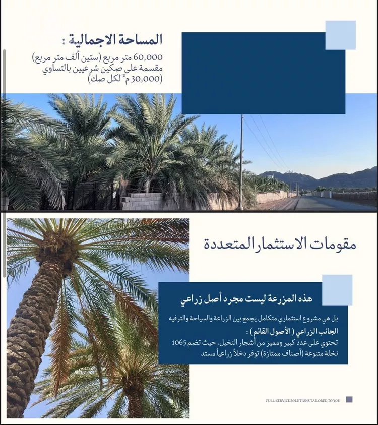 مزرعة للبيع في حي وادي الحمض, مدينة المدينة المنورة, منطقة المدينة المنورة 16