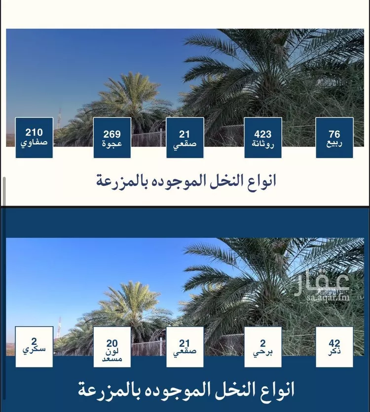 مزرعة للبيع في حي وادي الحمض, مدينة المدينة المنورة, منطقة المدينة المنورة 17