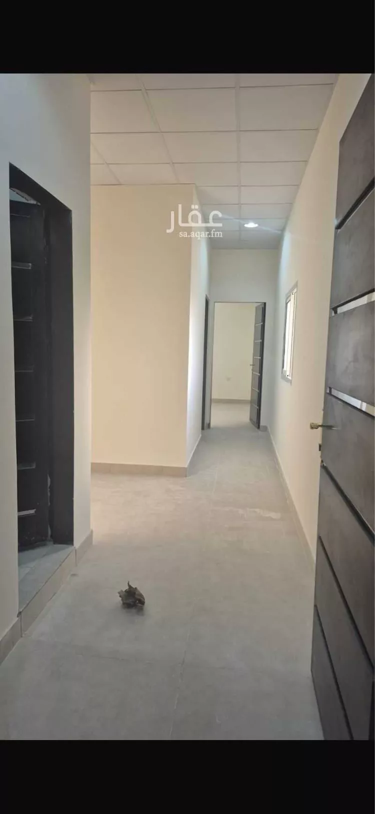 شقة للإيجار في شارع الكوثر, حي المشاعل, مدينة الرياض, منطقة الرياض