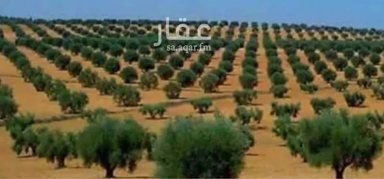 مزرعة للبيع في شارع رقم 188 ، حي النرجس ، الرياض ، منطقة الرياض