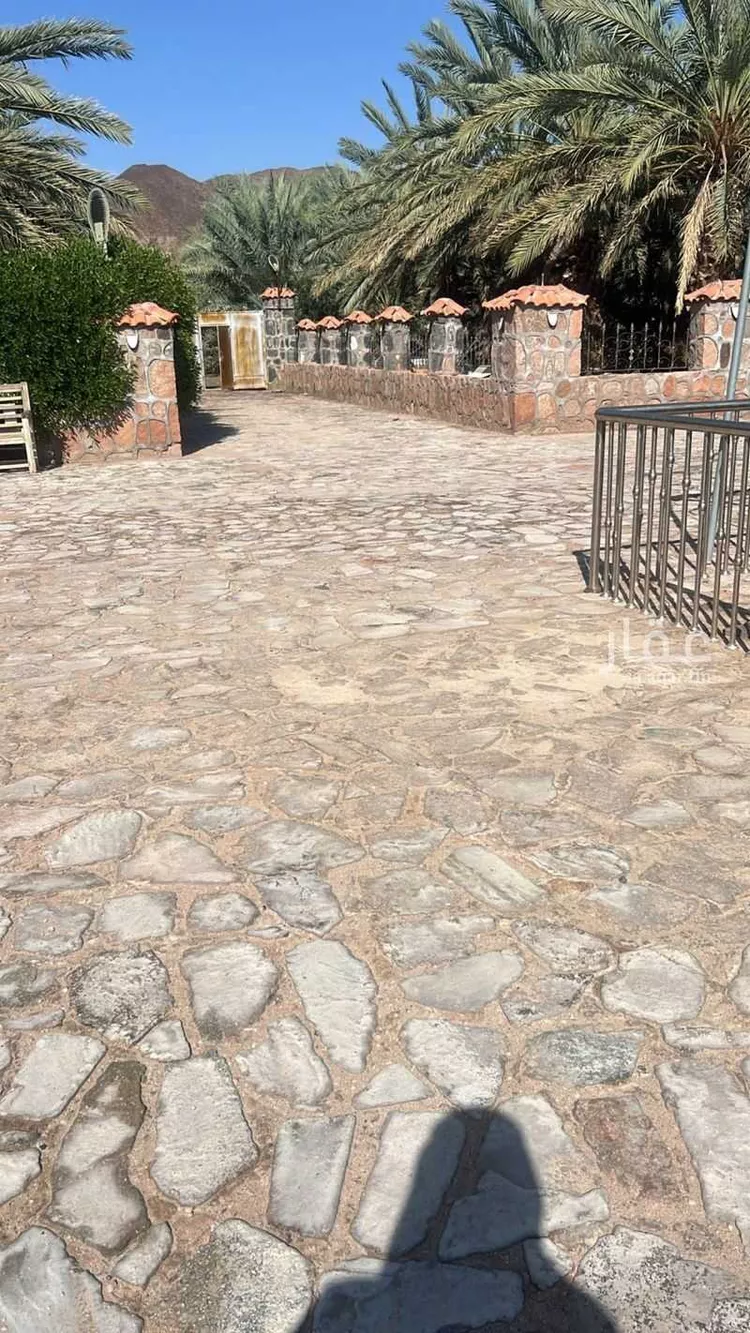 أرض للإيجار في شارع المندسة 627, حي المندسة, مدينة المدينة المنورة, منطقة المدينة المنورة صورة 3