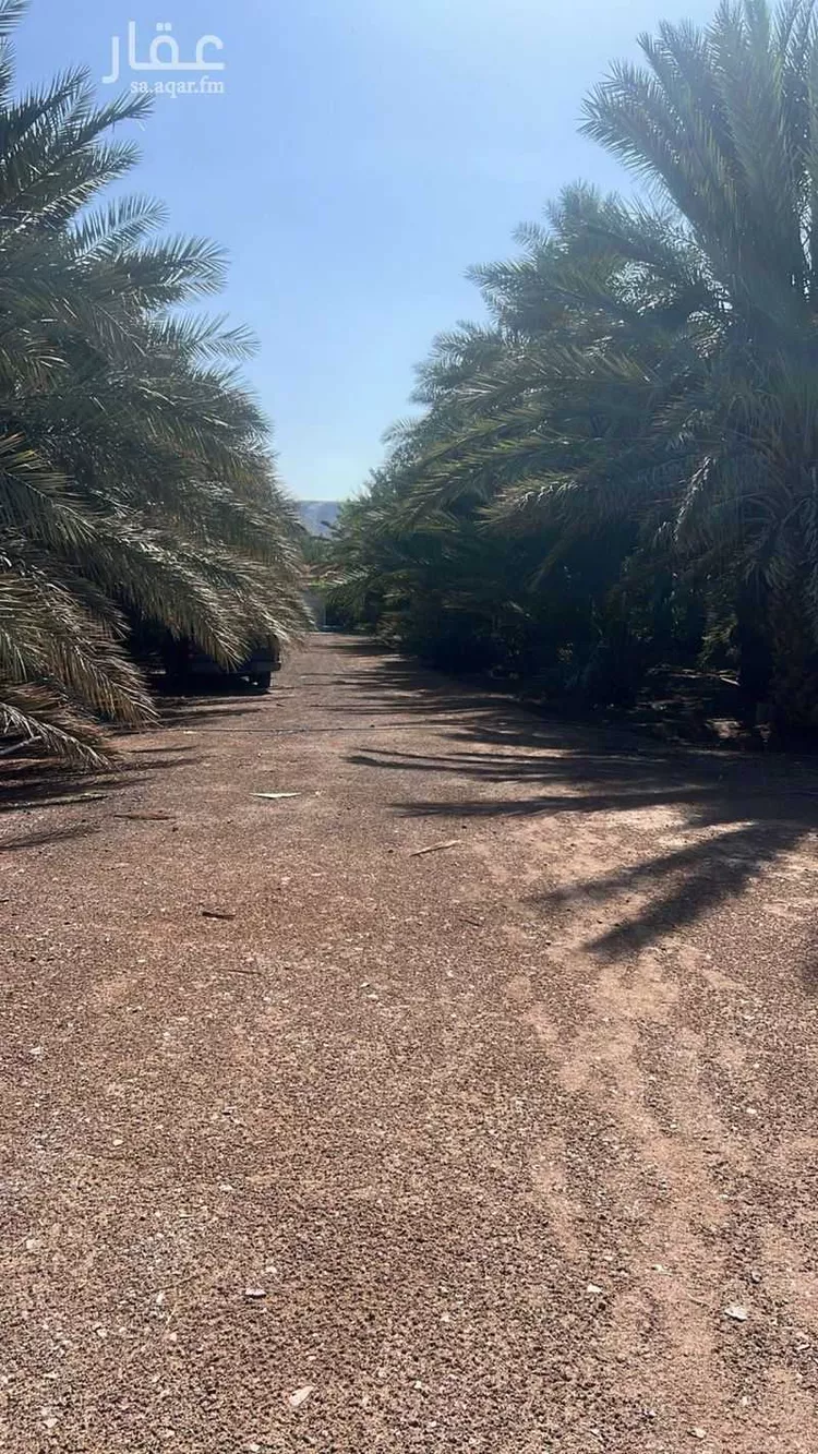 أرض للإيجار في شارع المندسة 627, حي المندسة, مدينة المدينة المنورة, منطقة المدينة المنورة صورة 4