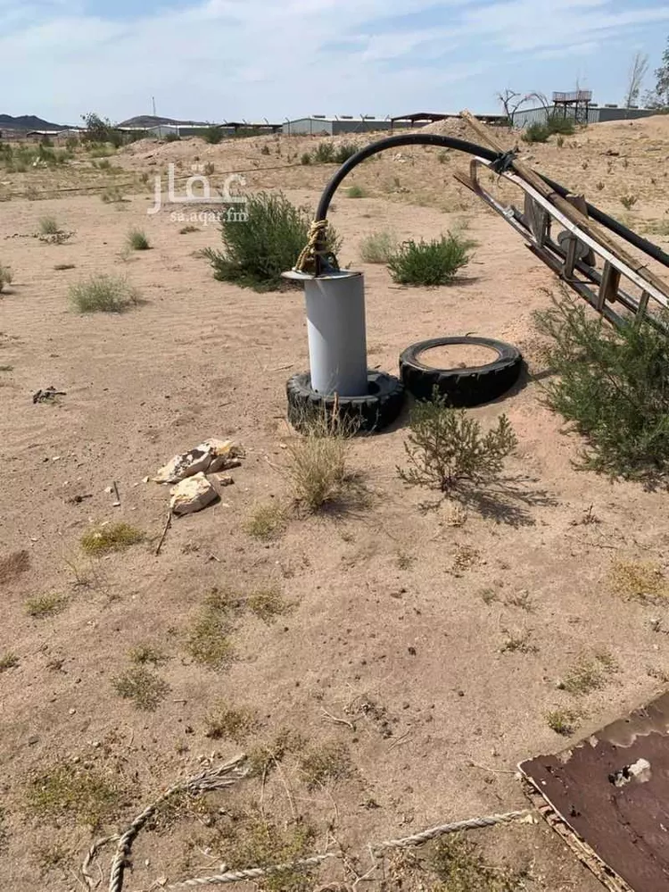 مزرعة للبيع في المملكة العربية السعودية صورة 4