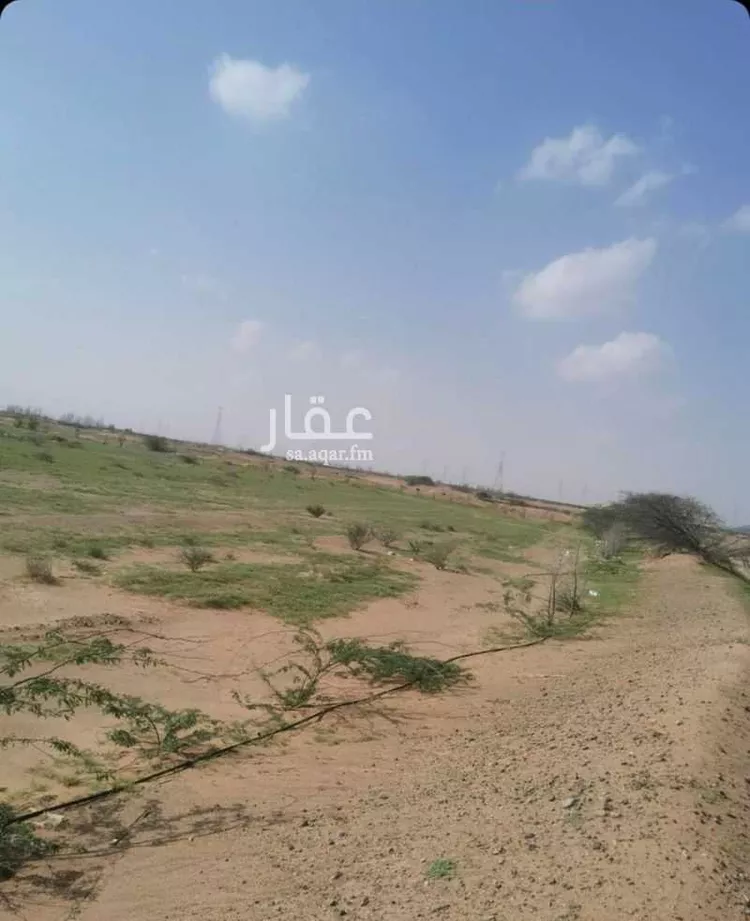 مزرعة للبيع في خليص ، خليص صورة 4