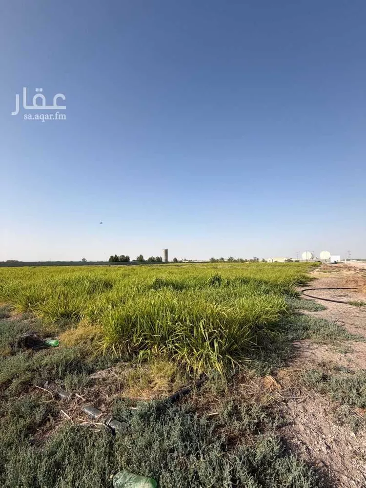مزرعة للبيع في شارع غير مسمى, حي صلاصل, مدينة بقيق, المنطقة الشرقية 9