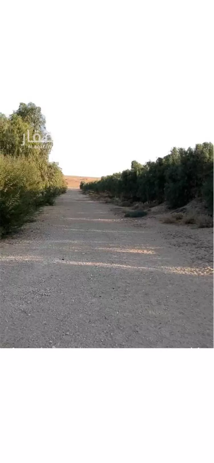 مزرعة للبيع في حي صلاصل, مدينة بقيق, المنطقة الشرقية صورة 5