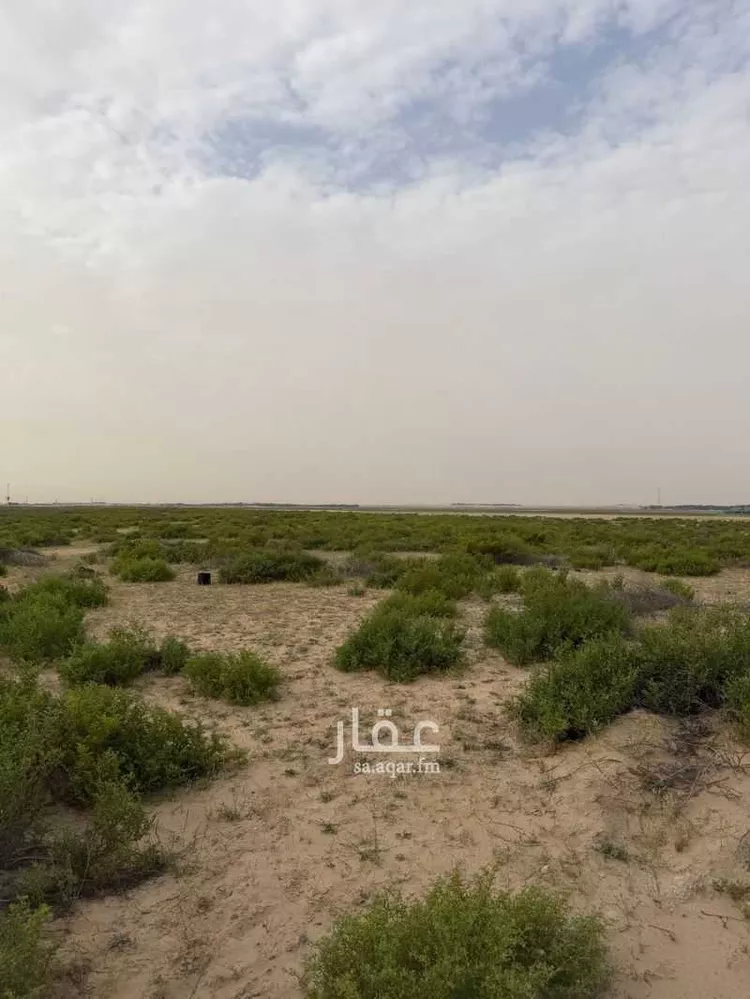 Land for Rent in Buqayq Ar Rabwah