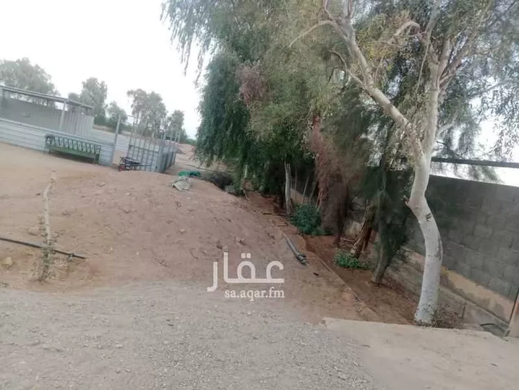 مزرعة للبيع في شارع الجله, حي الخفق ومزارعه, مدينة الخفق ومزارعه, منطقة الرياض صورة 2