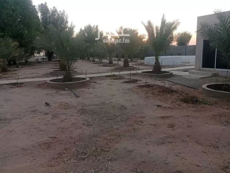 مزرعة للبيع في شارع الجله, حي الخفق ومزارعه, مدينة الخفق ومزارعه, منطقة الرياض صورة 5