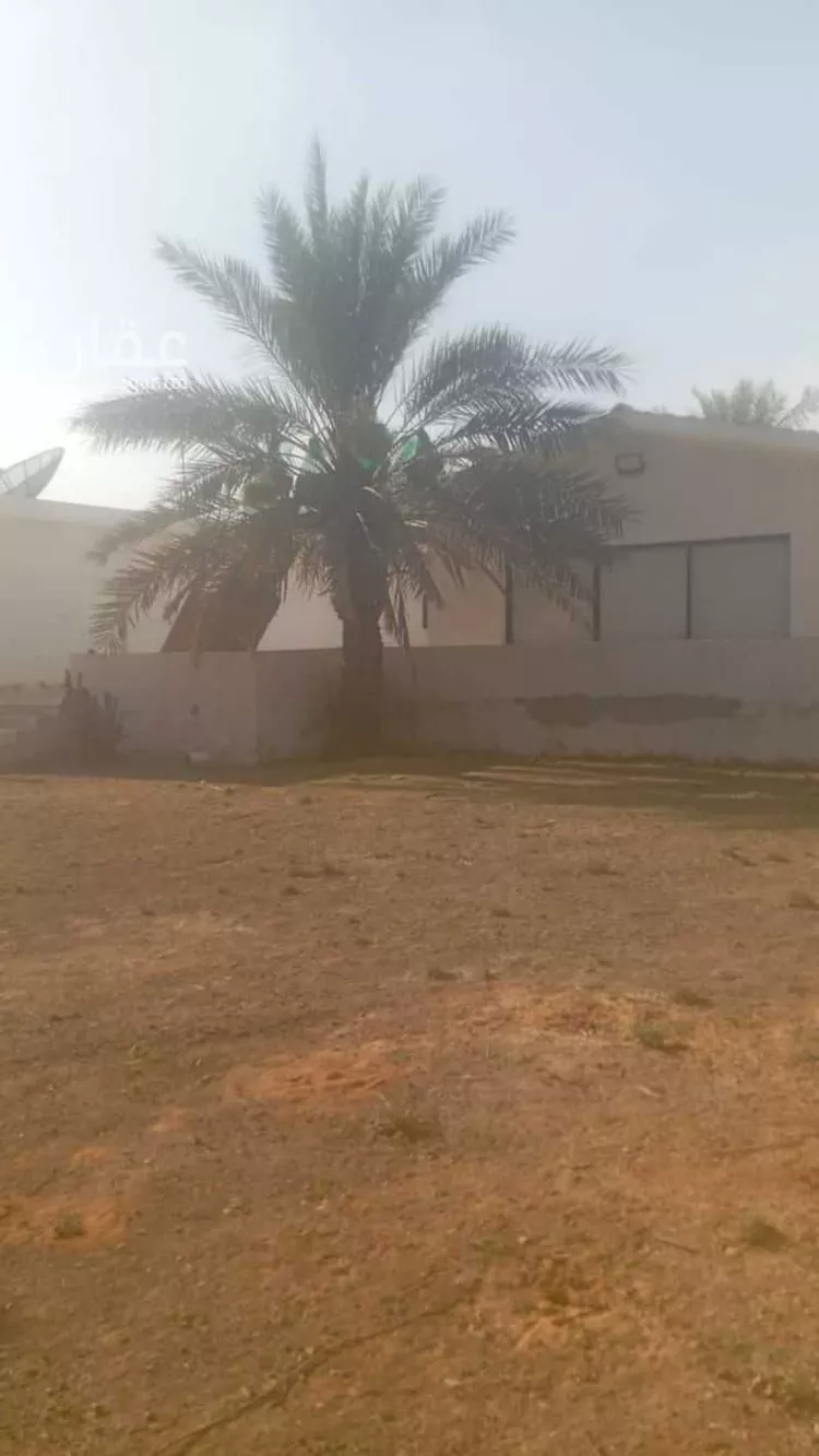 أرض للإيجار في شارع ديراب, مدينة قريه ديراب, منطقة الرياض صورة 3