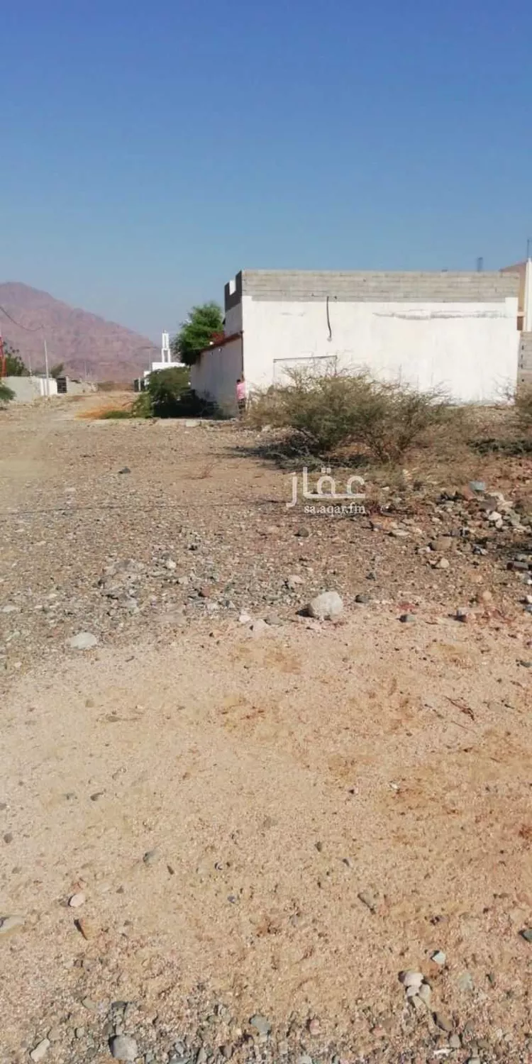 أرض للبيع في شارع يعرج بلاد الحساسنه 88 ، الحسن ، منطقة مكة المكرمة
