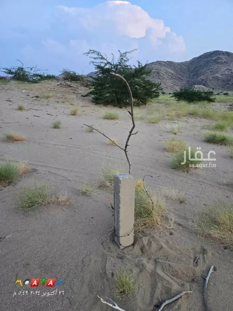 أرض للبيع في شارع عروه بن اذينه, حي شعب عامر , مدينة مكه المكرمه, منطقة مكة المكرمة صورة 3
