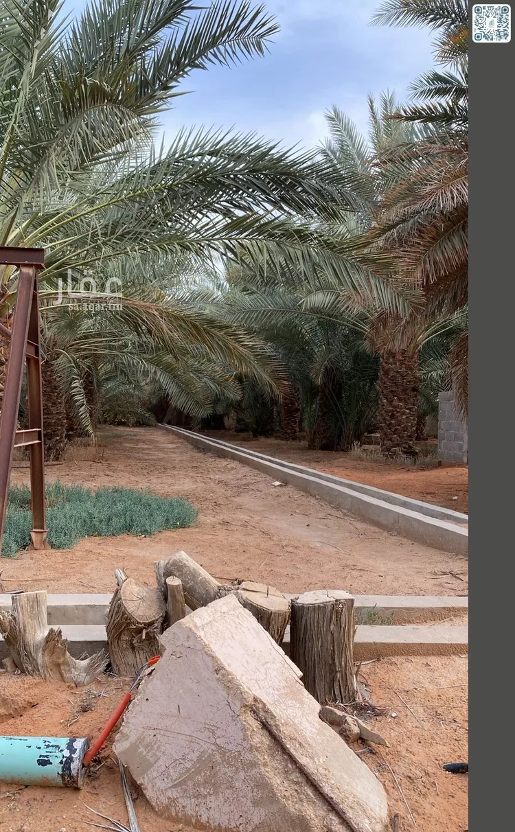مزرعة للبيع في شارع الحارث بن النعمان بن خزمة, حي شخيب, مدينة المزاحمية, منطقة الرياض صورة 4