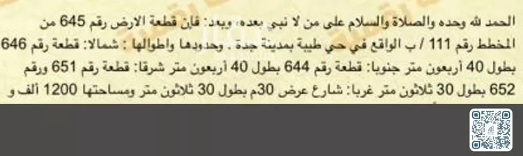 أرض للبيع في شارع عامر ابن قيس, حي طيبة, مدينة جدة, منطقة مكة المكرمة صورة 2