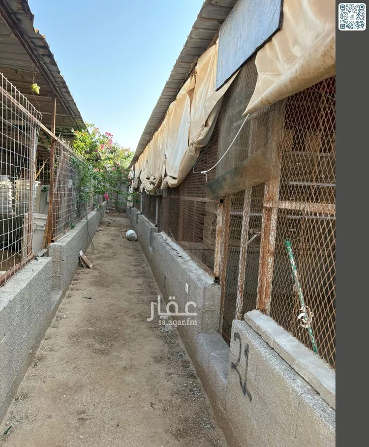 مزرعة للبيع في شارع الندى, حي الندى, مدينة جدة, منطقة مكة المكرمة صورة 3