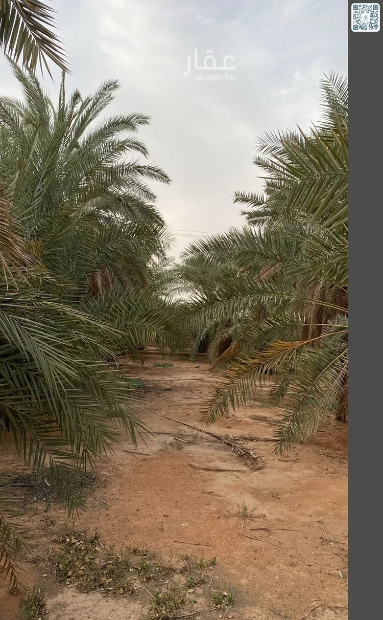Farm for Sale in Al Muzahimiyah Shukhaib