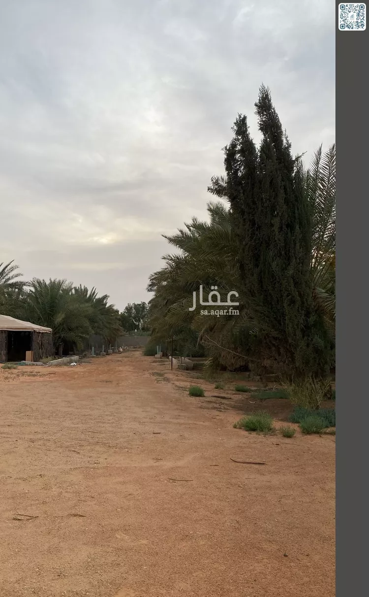 مزرعة للبيع في شارع الحارث بن النعمان بن خزمة, حي شخيب, مدينة المزاحمية, منطقة الرياض 10