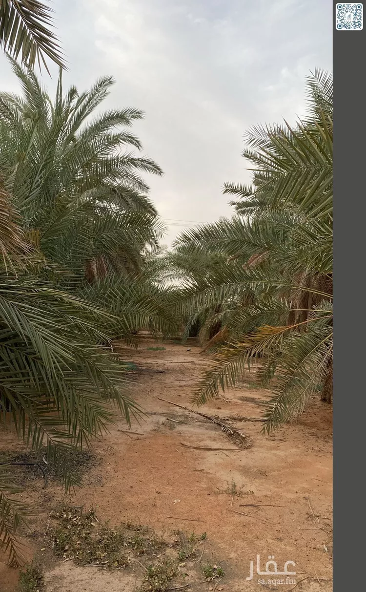 Farm for Sale in Al Muzahimiyah Shukhaib