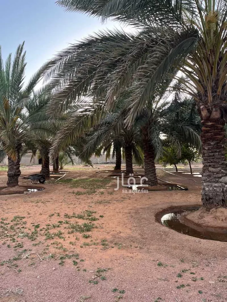مزرعة للبيع في شارع عثمر القديم 269 ، القاعد ، منطقة حائل صورة 4