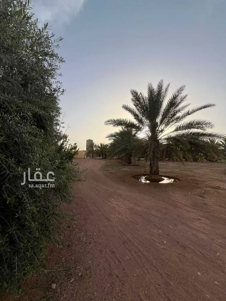 مزرعة للبيع في شارع عثمر القديم 269 ، القاعد ، منطقة حائل صورة 5