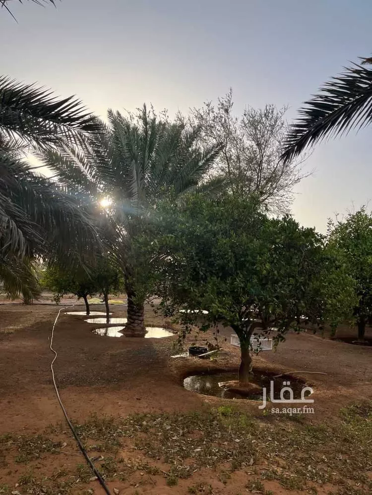 مزرعة للبيع في شارع عثمر القديم 269 ، القاعد ، منطقة حائل