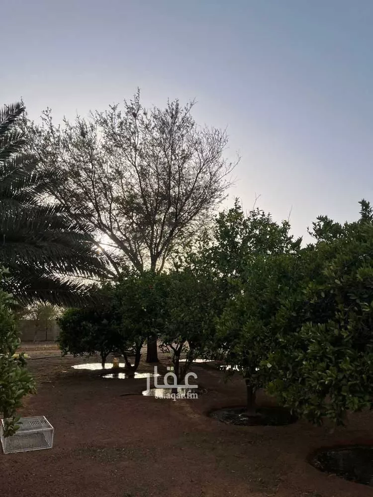 مزرعة للبيع في شارع عثمر القديم 269 ، القاعد ، منطقة حائل صورة 3